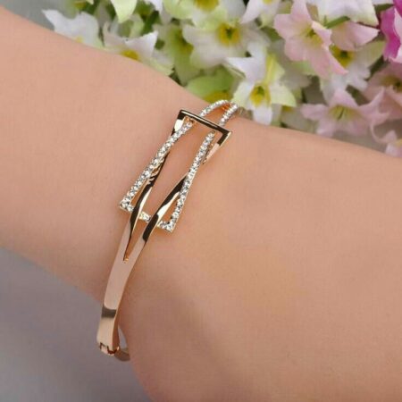 Fancy Brac 06
