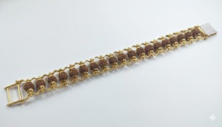 Rudraksh Brac