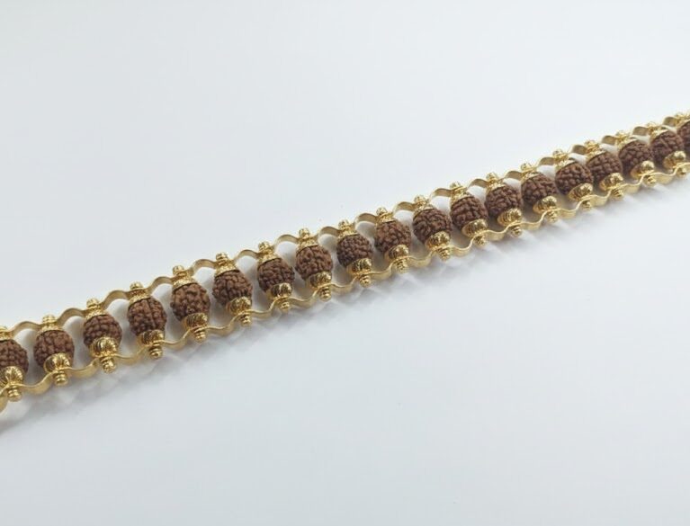 Rudraksh Brac